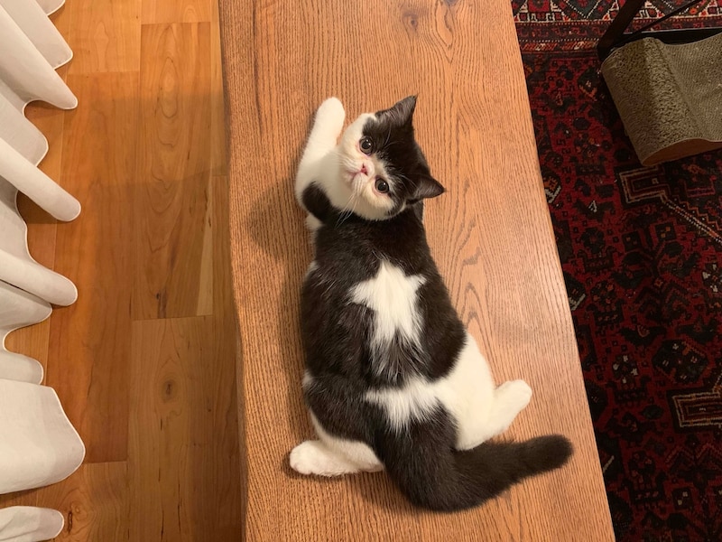 今日のお星さまの調子は?【ちろり、スターへの道のり。vol.19】