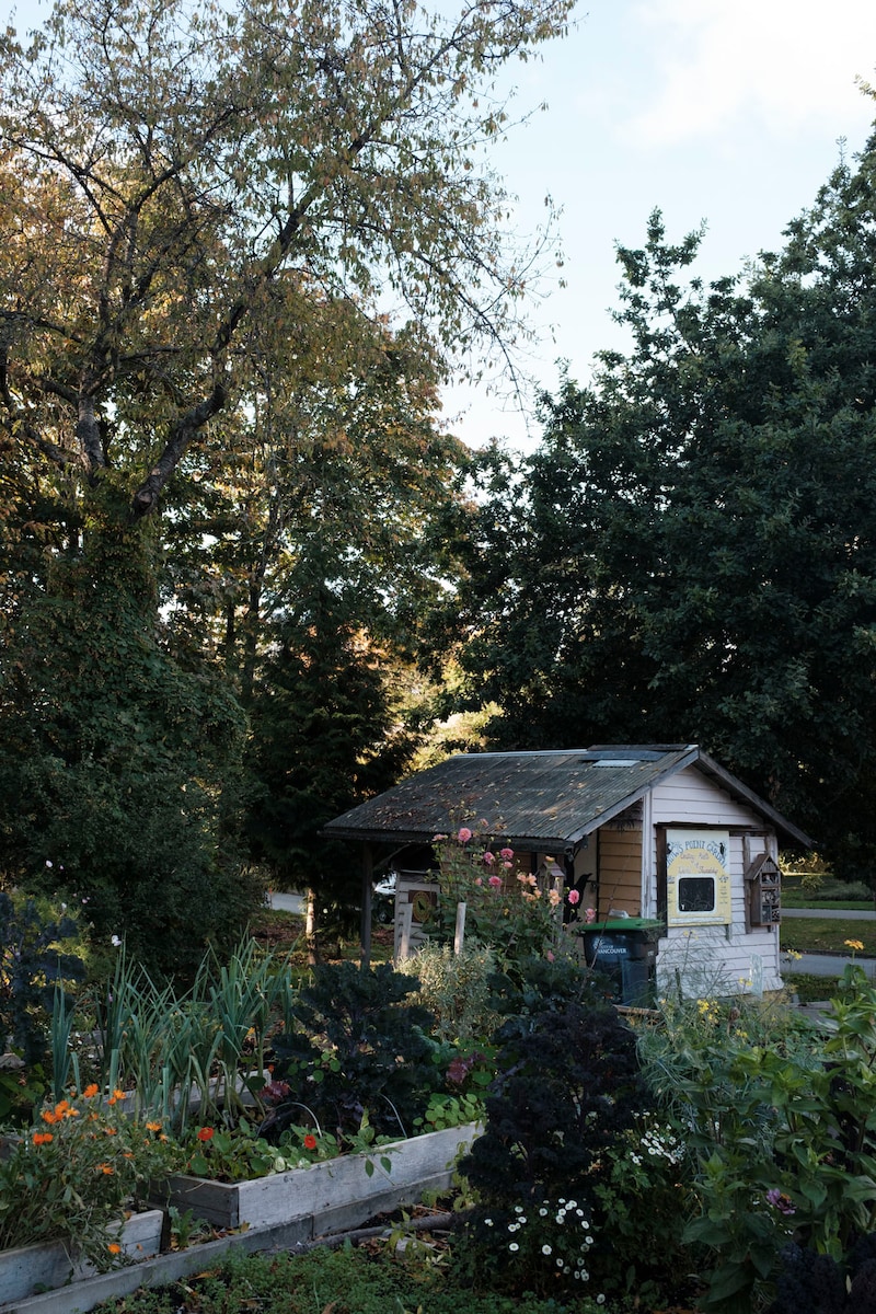 今月の写真家、今日の一枚。山崎 智世 vol.22