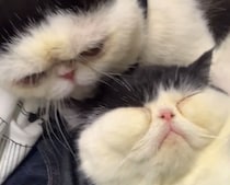 あたしの安心する場所。【ちろり、スターへの道のり。vol.21】