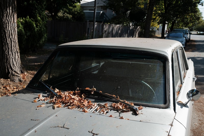 今月の写真家、今日の一枚。山崎 智世 vol.23