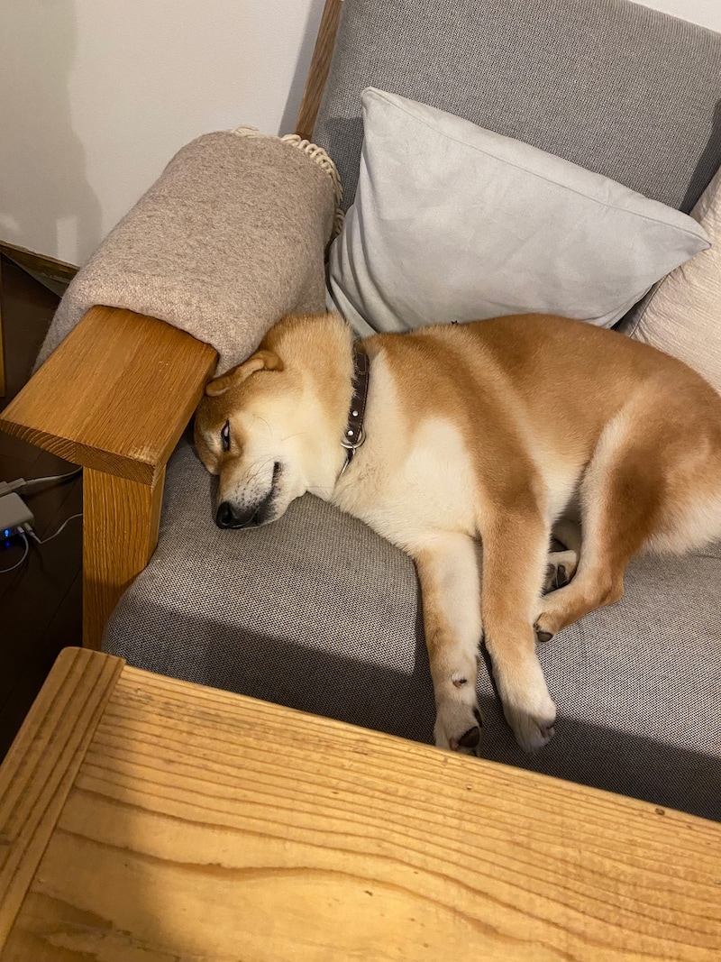 じゃっかんホラーです。かーちゃんは「かわいい」、ぼくは困惑。