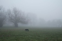 今月の写真家、今日の一枚。山崎 智世 vol.24