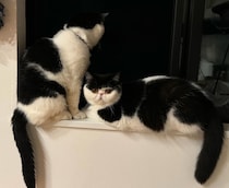 見つめる先には……？【ちろり、スターへの道のり。vol.25】