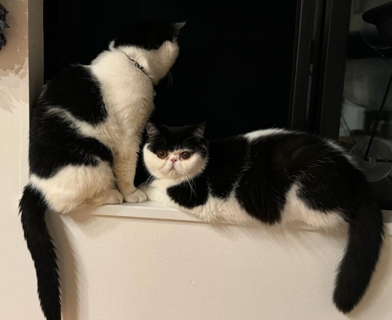 見つめる先には……？【ちろり、スターへの道のり。vol.25】