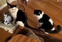 アイドルのたしなみ？【ちろり、スターへの道のり。vol.26】