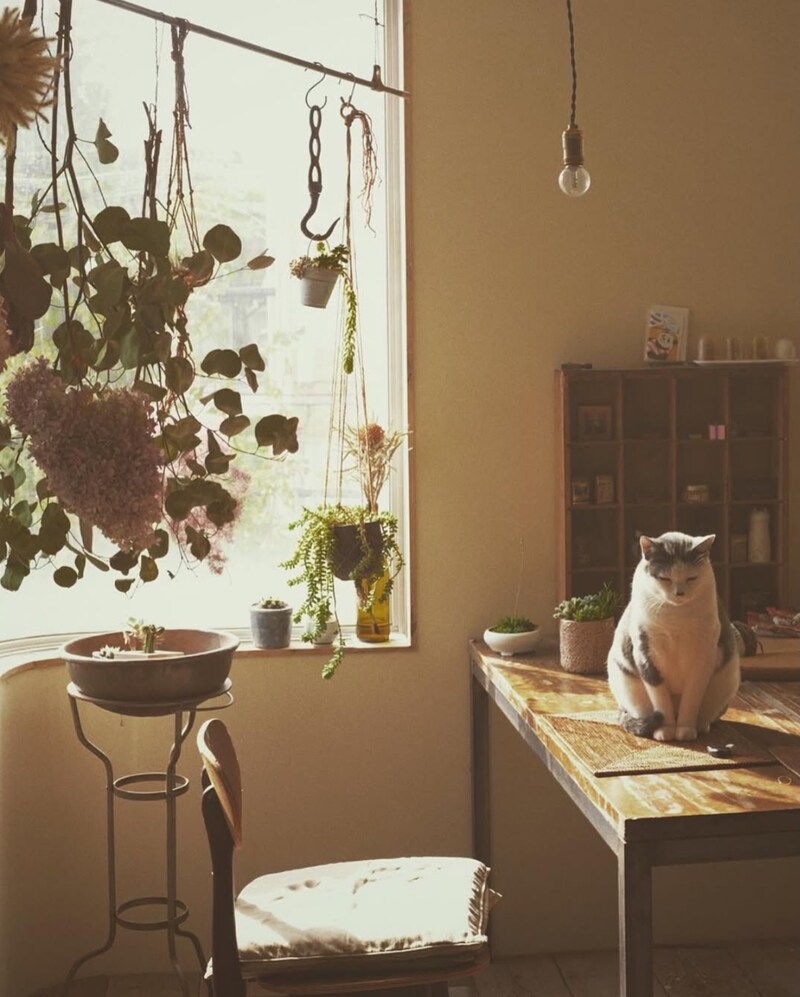 「我が家には、あり余るものと足りないものがある」  。1か月にわたってお届けしてきた、漫画家・ねむようこさんのDIY物語。今回が最終回です。