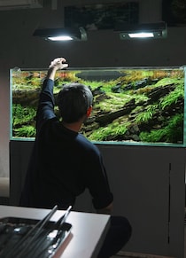 「私にとって水草水槽は、自身の身体感覚を呼び覚ます「装置」であり、感覚を磨き上げる「修練」の場でもあるのかもしれません」。  マンガ家・タナカカツキさんによる1か月連載コラムは今日で最終回です。