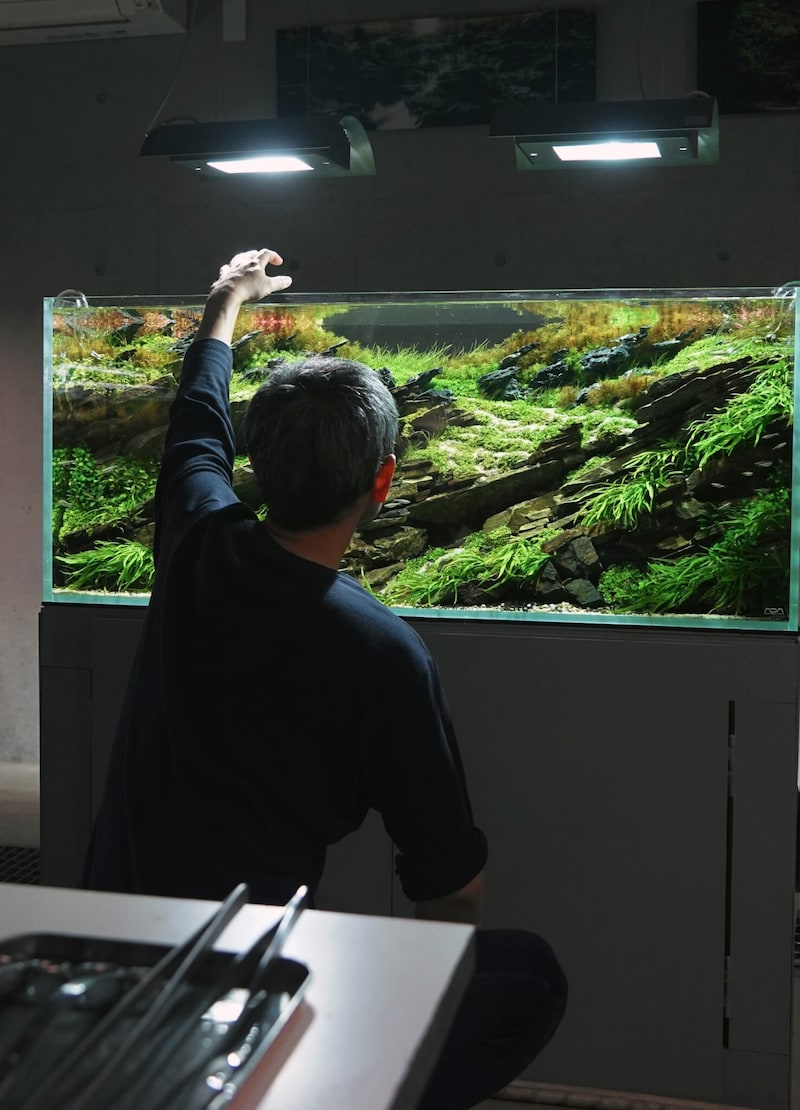 「私にとって水草水槽は、自身の身体感覚を呼び覚ます「装置」であり、感覚を磨き上げる「修練」の場でもあるのかもしれません」。  マンガ家・タナカカツキさんによる1か月連載コラムは今日で最終回です。