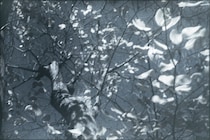 今月の写真家、今日の一枚。3月の写真家は、原田 真治さん。きょうから1日1枚公開していきます。