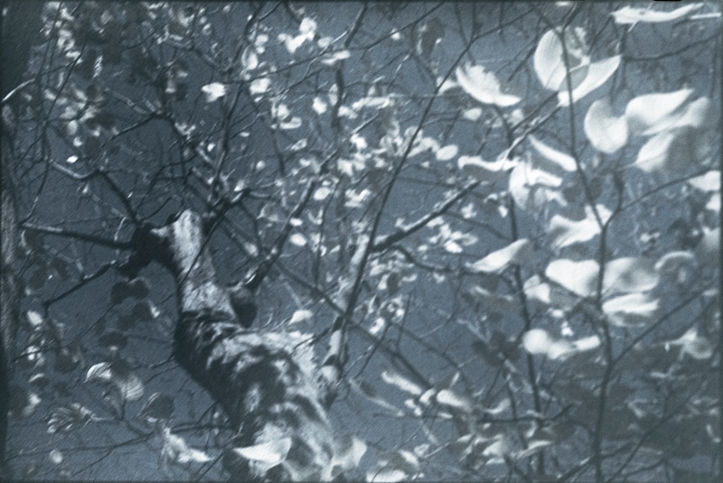 今月の写真家、今日の一枚。3月の写真家は、原田 真治さん。きょうから1日1枚公開していきます。