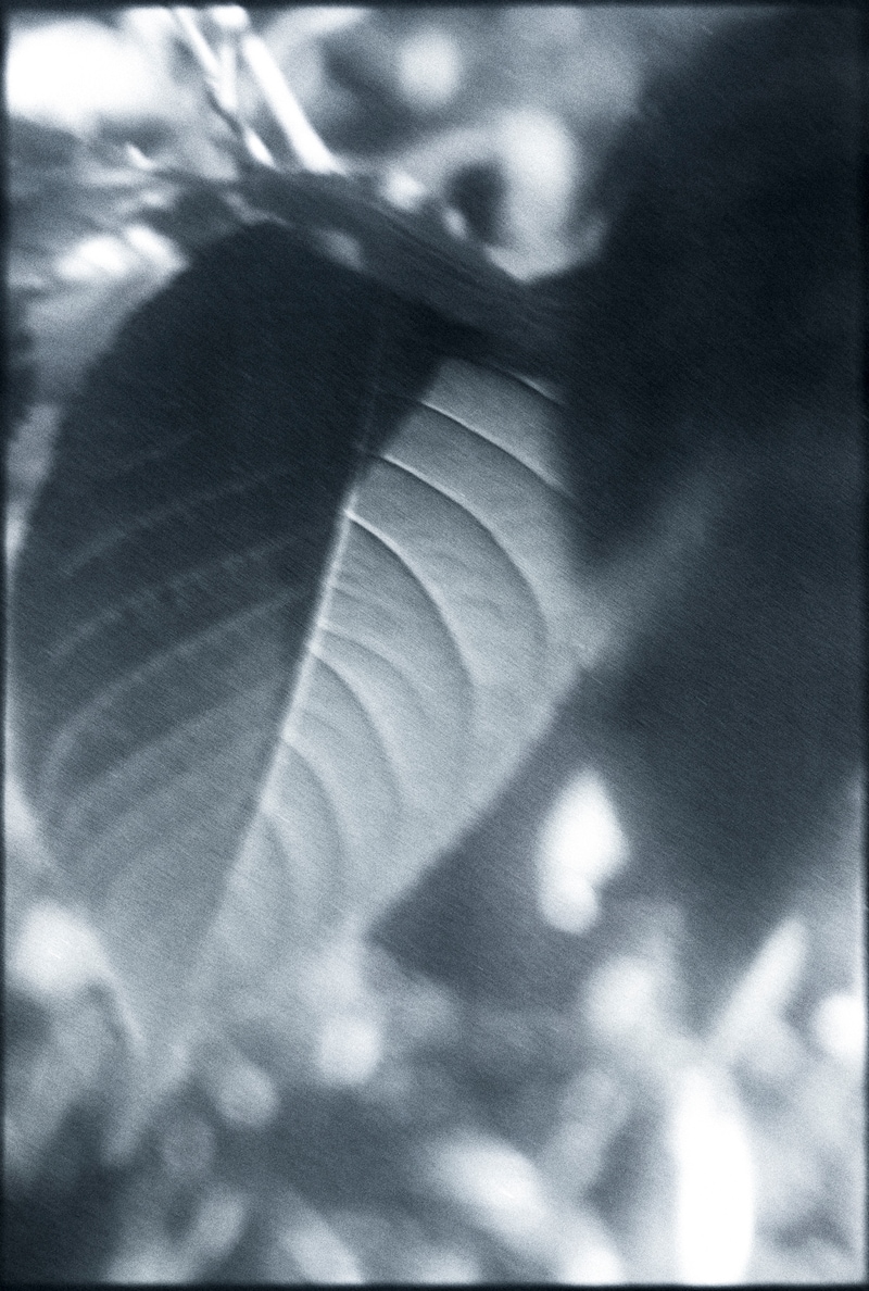 今月の写真家、今日の一枚。原田 真治 vol.3