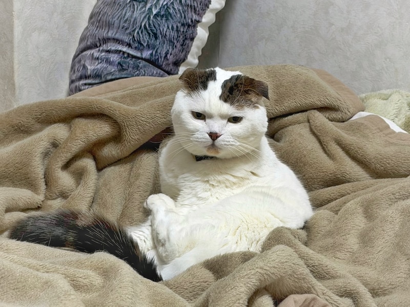 怒っているわけではありません。【いなほ、オレ物語。】