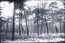 今月の写真家、今日の一枚。原田 真治 vol.5