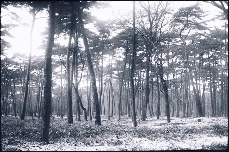 今月の写真家、今日の一枚。原田 真治 vol.5