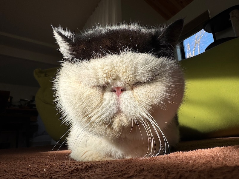 どの前髪がお好き？ 【おちょこ、ぽのぽのだより。】