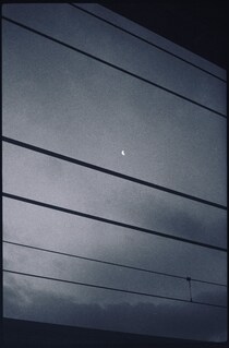 今月の写真家、今日の一枚。原田 真治 vol.8