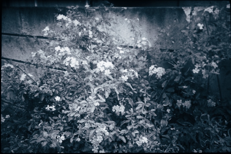 今月の写真家、今日の一枚。原田 真治 vol.16