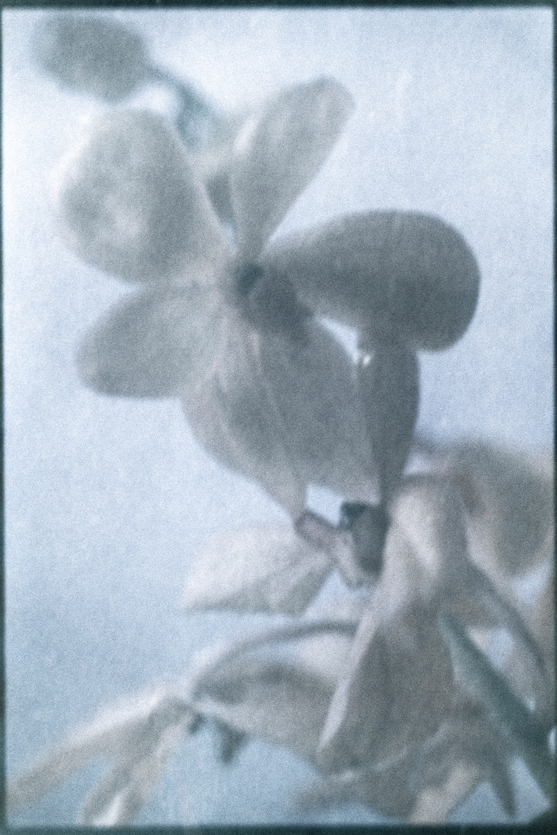 今月の写真家、今日の一枚。原田 真治 vol.17