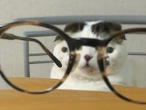 憧れのメガネ。なんか、思ってたんと違う。【いなほ、オレ物語。】