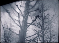 今月の写真家、今日の一枚。原田 真治 vol.19