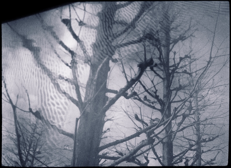 今月の写真家、今日の一枚。原田 真治 vol.19