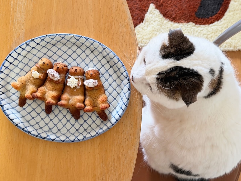 甘くて美味しい……。これが、ラッコの匂い?【いなほ、オレ物語。】