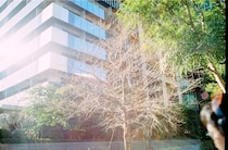 今月の写真家、今日の一枚。5月の写真家は、渡邉光平さん。きょうから1日1枚公開していきます。