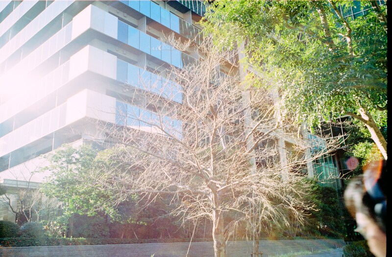 今月の写真家、今日の一枚。5月の写真家は、渡邉光平さん。きょうから1日1枚公開していきます。
