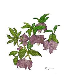 今日１日を、このイラストと。冬野 アヤネvol.6