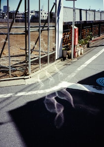 今月の写真家、今日の一枚。5月の写真家は、渡邉光平さん。