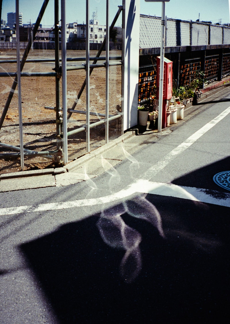 今月の写真家、今日の一枚。5月の写真家は、渡邉光平さん。