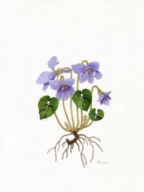 今日１日を、このイラストと。冬野 アヤネvol.13