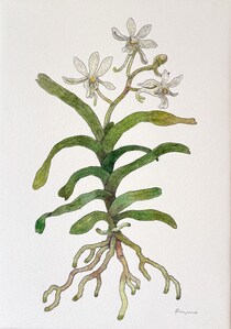 今日１日を、このイラストと。冬野 アヤネvol.29