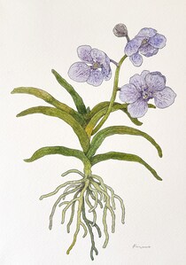 今日１日を、このイラストと。冬野 アヤネvol.30