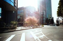 今月の写真家、今日の一枚。渡邉光平 vol.31
