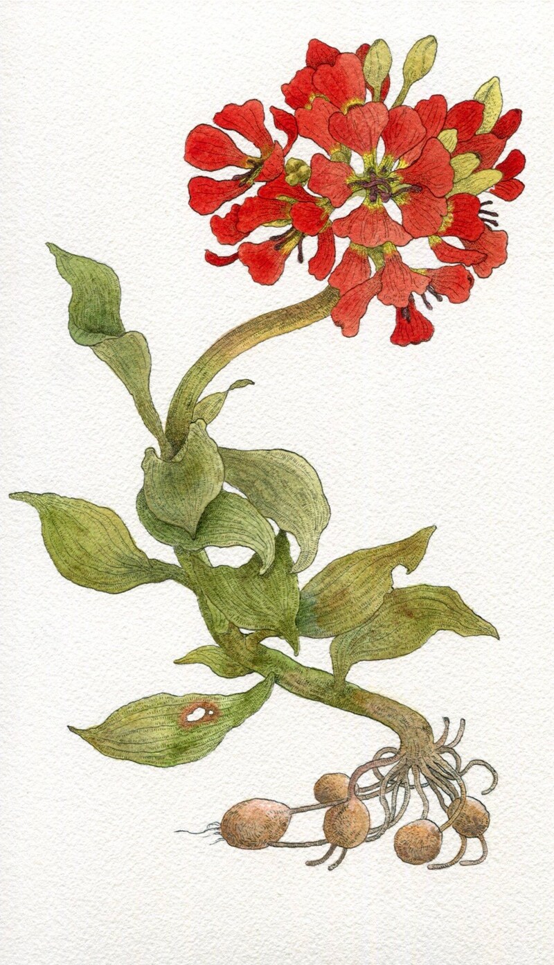 今日１日を、このイラストと。今月のイラストレーターは、冬野 アヤネさんでした。  5月を彩ったイラストを、まとめてどうぞ。