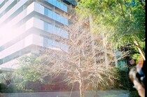今月の写真家、今日の一枚。5月の写真家・渡邉光平さんの写真を、まとめてどうぞ。