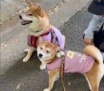 何だかおそろなぼくら。サイズ感はだいぶ違いますけどね〜。