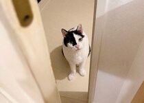 お風呂から出ると、えいたが待っている。その理由とは……。
