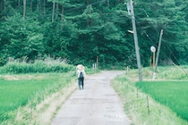 夏、汗と涙の「能登ひかり」。春夏秋冬、能登めぐり。写真と文：小川紗良 (アーティスト) #2