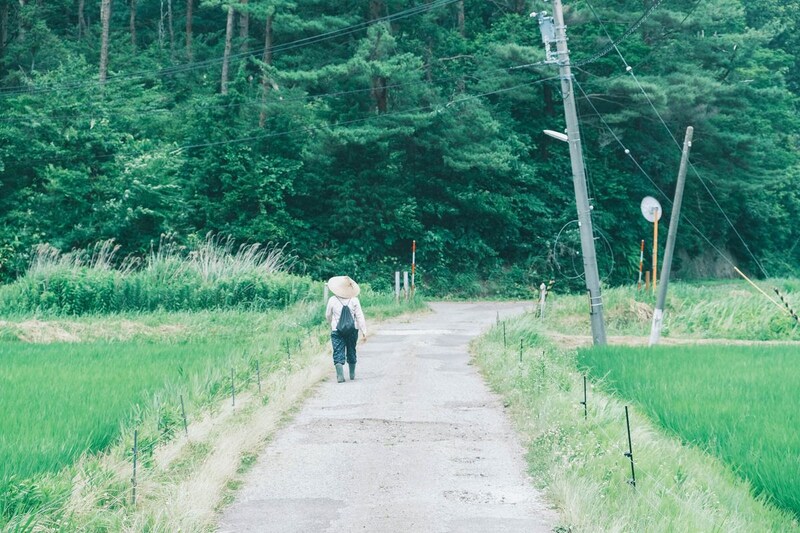 夏、汗と涙の「能登ひかり」。春夏秋冬、能登めぐり。写真と文：小川紗良 (アーティスト) #2