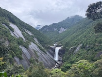 言葉が呼び覚ます、屋久島の旅の記憶。編集後記「旅と、本と」