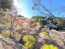 吉野、よく見よ！ 編集後記「旅と、本と」