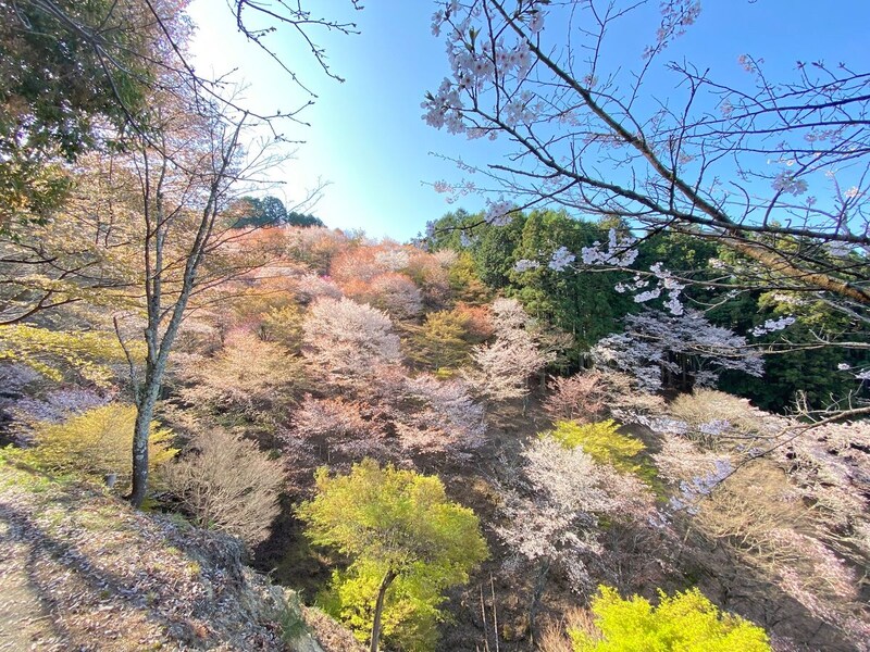 吉野、よく見よ! 編集後記「旅と、本と」