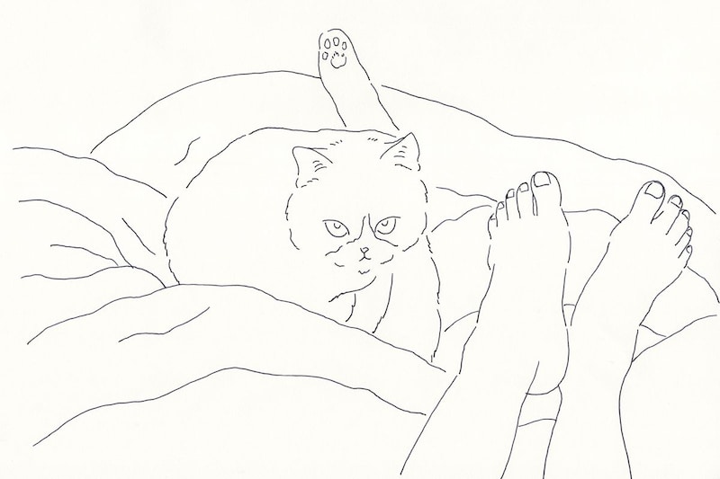 今日１日を、このイラストと。鳥屋 菜々子vol.1