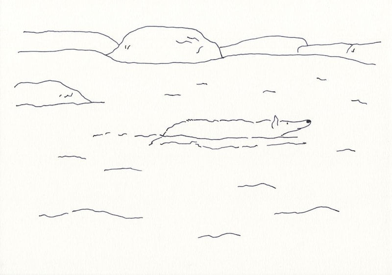 今日１日を、このイラストと。鳥屋 菜々子vol.2