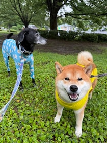 雨の日ミーティング。びしょびしょも楽しい朝です。