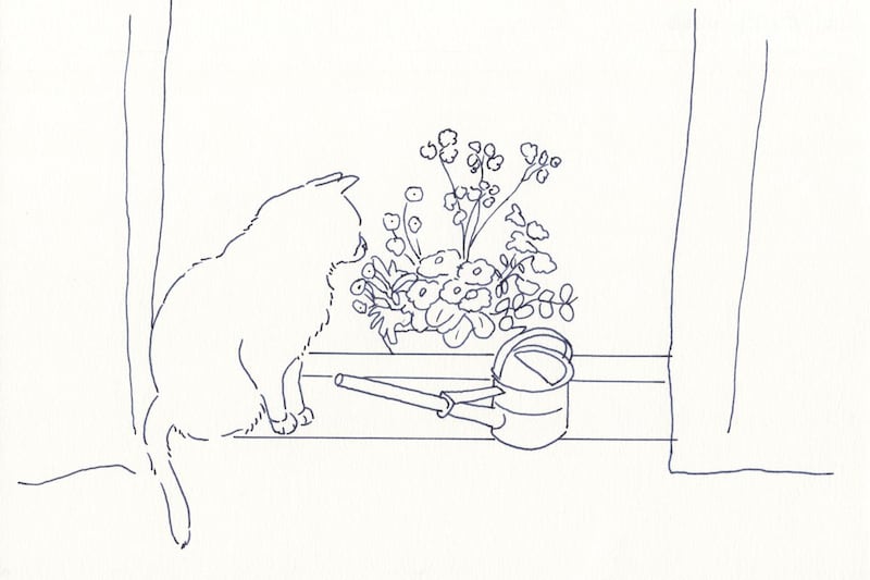 今日１日を、このイラストと。鳥屋 菜々子vol.4