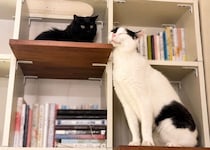 なかなか縮まらない、ふたりの距離。