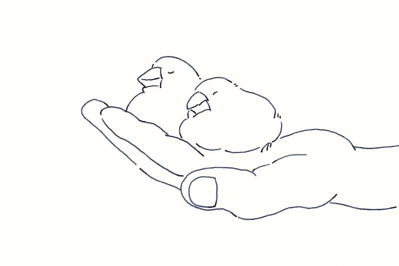 今日１日を、このイラストと。鳥屋 菜々子vol.7